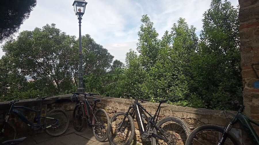 Florence: Country Ebike tour + Wine tasting in organic farm - What you actually taste at the farm