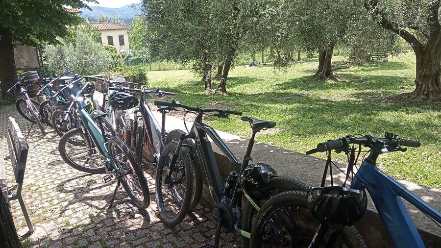 Florence: Country Ebike tour + Wine tasting in organic farm - Enrico’s guiding style and the private format