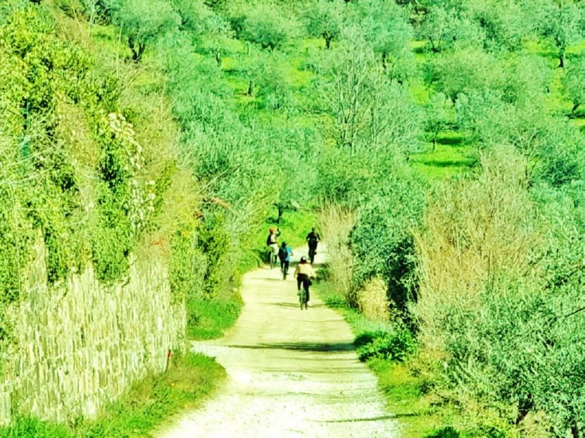 Florence: Country Ebike tour + Wine tasting in organic farm - Who should book this outing?