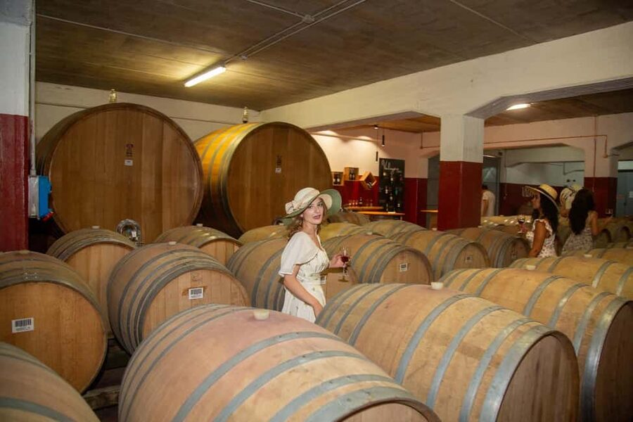 Florence: The secret of wine, cheese and olive oil at a farm - From Florence Station to the Tuscan Hills