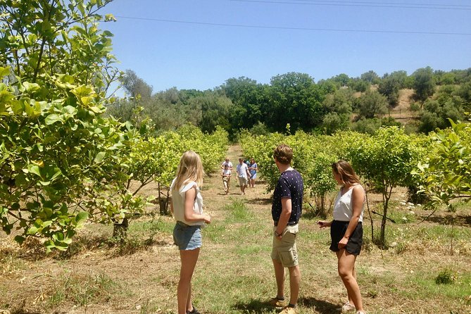Food Experience at our Farm in Noto Hills - Who will enjoy this farm visit