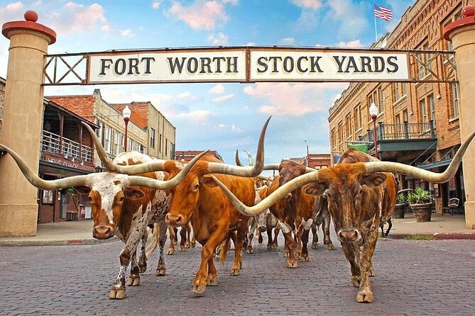 Fort Worth Highlights & Southfork Ranch Combo Tour - Why this Fort Worth and Southfork pairing works