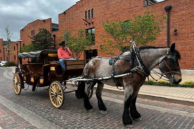 Fort Worth Highlights & Southfork Ranch Combo Tour - Art at the Sid Richardson Museum