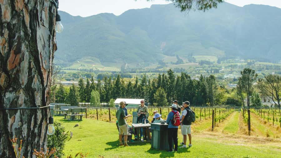 Franschhoek: An enchanting storytelling walk to 3 wine farms - Key points at a glance