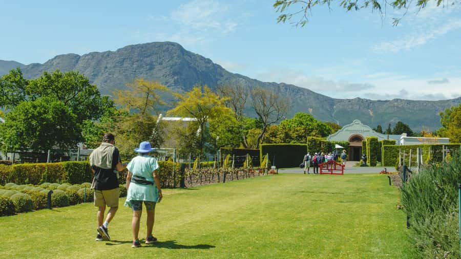 Franschhoek: An enchanting storytelling walk to 3 wine farms - Mont Rochelle and the first wines