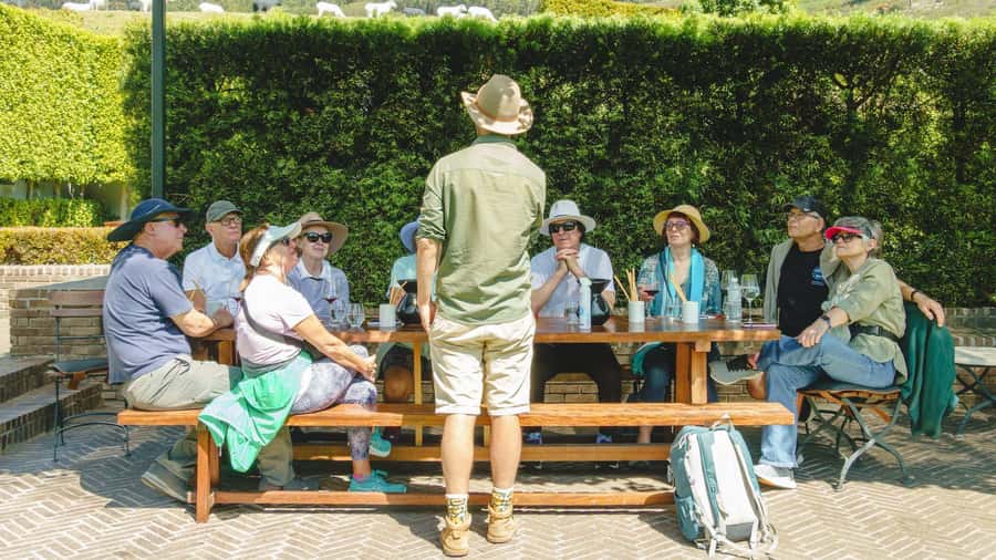 Franschhoek: An enchanting storytelling walk to 3 wine farms - A short tuk tuk ride and La Cotte Heritage Farm