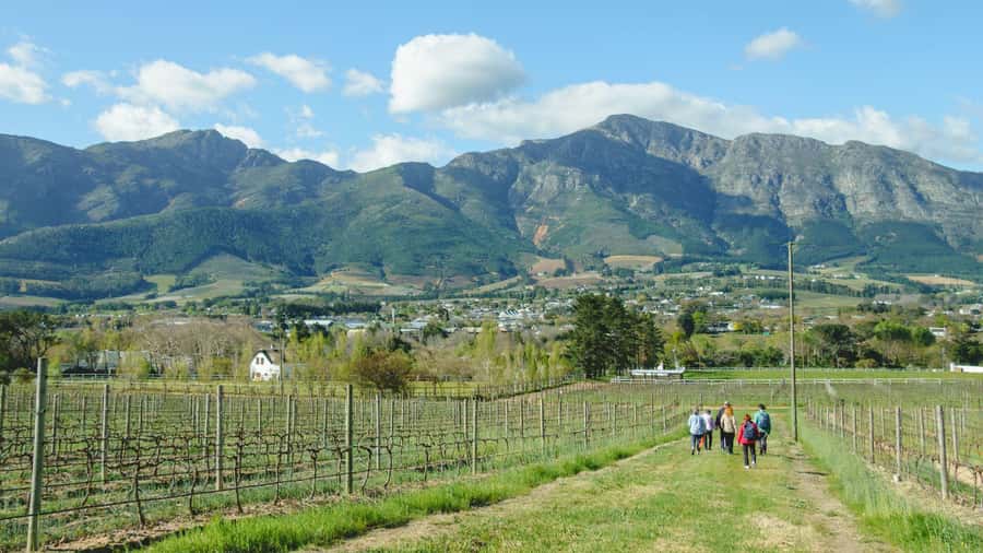 Franschhoek: An enchanting storytelling walk to 3 wine farms - From the Dutch Reformed Church into the vineyards
