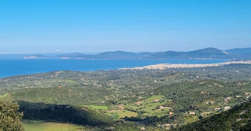 From Alghero: Farm to Table cooking experience in Montresta - Should you book it?