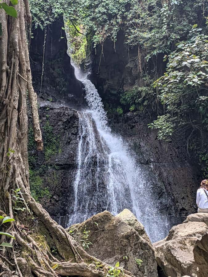 From Arusha: Coffee Farm and Mangalia Waterfalls Tour - A coffee lesson with real hands-on work