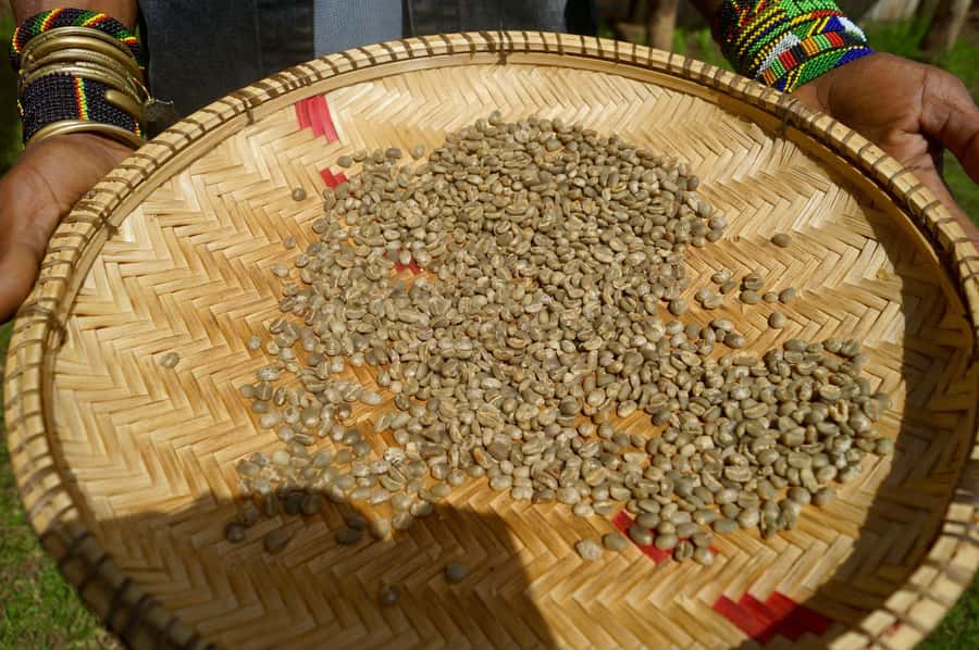From Arusha: Coffee Farm and Mangalia Waterfalls Tour - Why the four-hour format works