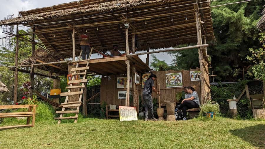 From Arusha: Coffee Farm and Mangalia Waterfalls Tour - Practical details that make the day easier
