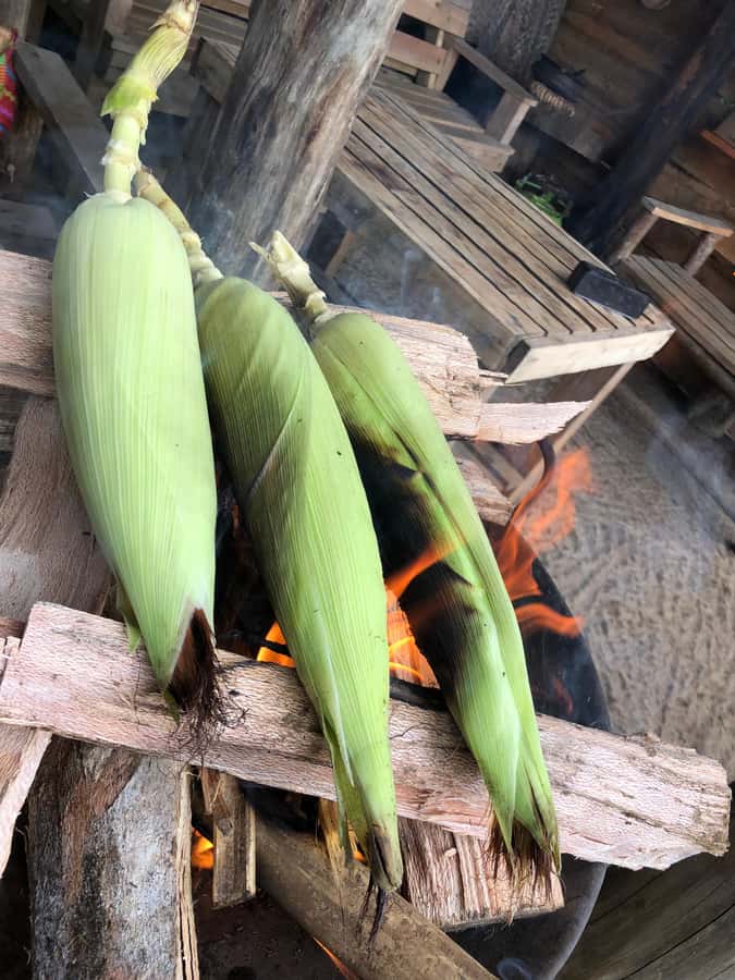 From Arusha: Coffee Farm and Mangalia Waterfalls Tour - Should you book it?