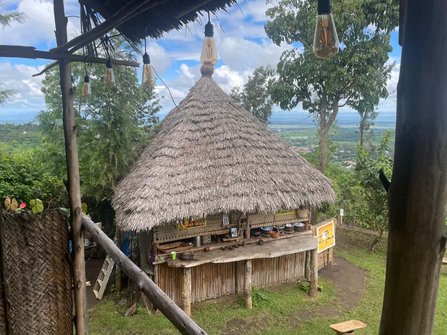 From Arusha: Coffee Farm and Mangalia Waterfalls Tour - Farm views, fruit, and banana wine