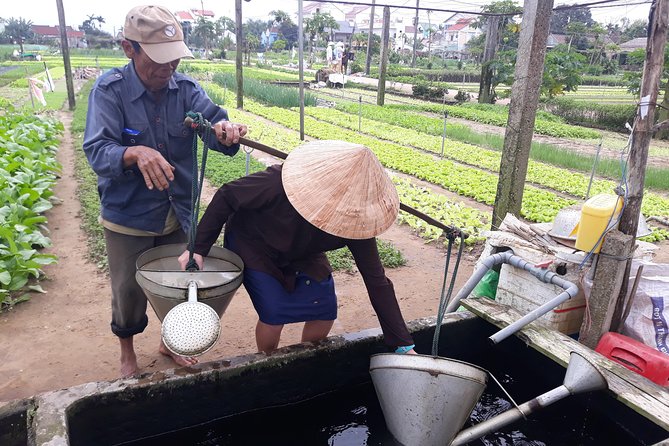 From AUTHENTIC FARMER'S LIFE to ECO RIVER FISHING EXPERIENCE - Who should book this countryside experience