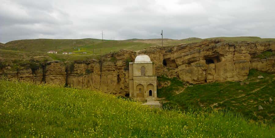 From Baku: Shamakhi City and Alpaca Farm Tour - What the guide adds to the day