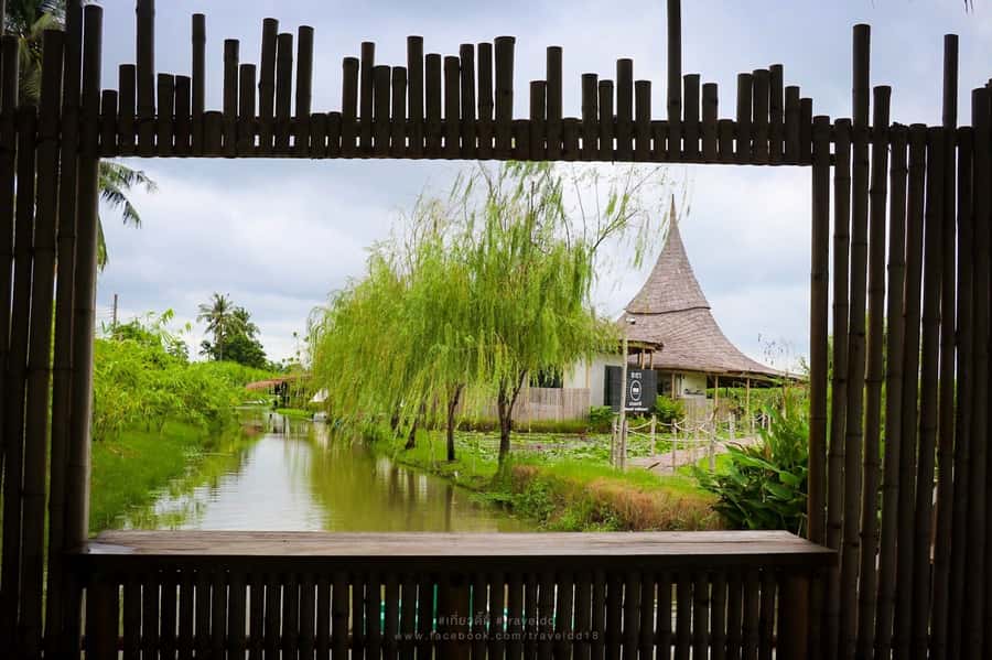 From Bangkok: Mahasawat Canal and farm with Lunch - Thousands of orchids grown for export