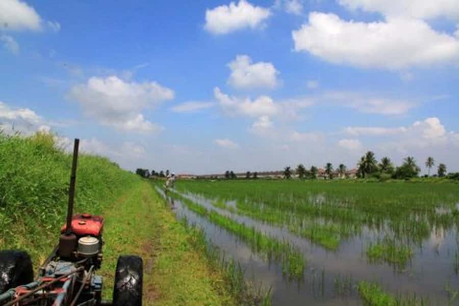 From Bangkok: Mahasawat Canal and farm with Lunch - How much value do you get for $161?