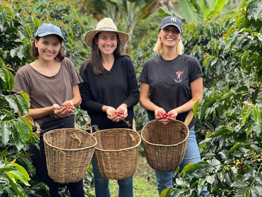 From Bogota: 5 hour guided coffe farm tour - All included - Meeting the farmers who grow the beans