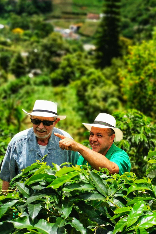 From Bogota: 5 hour guided coffe farm tour - All included - What the $118 price includes