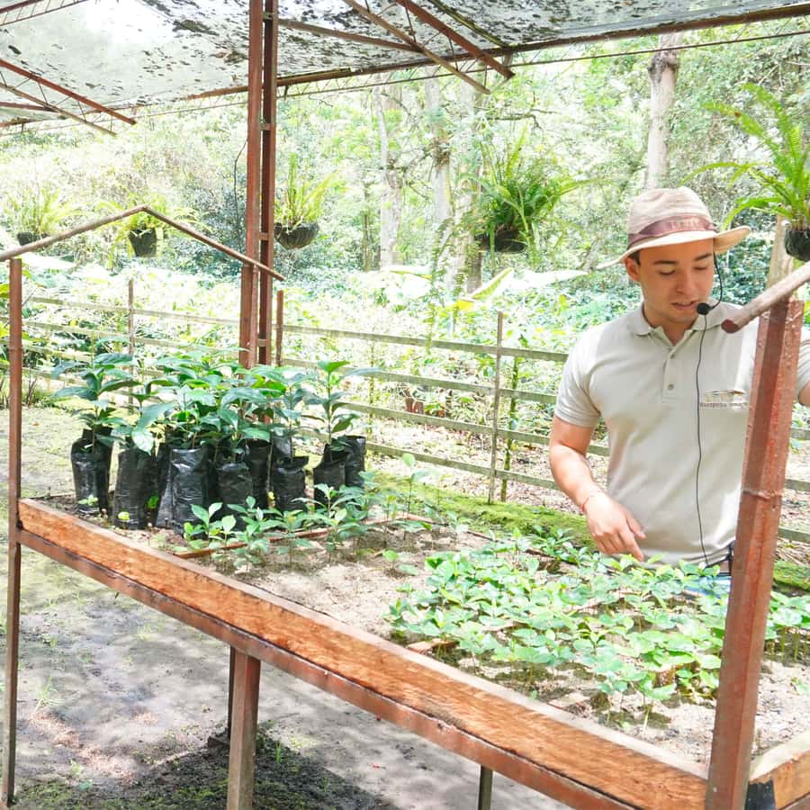 From Bogotá: Coffee Farm and Tequendama Falls Tour - Key points to know before you book