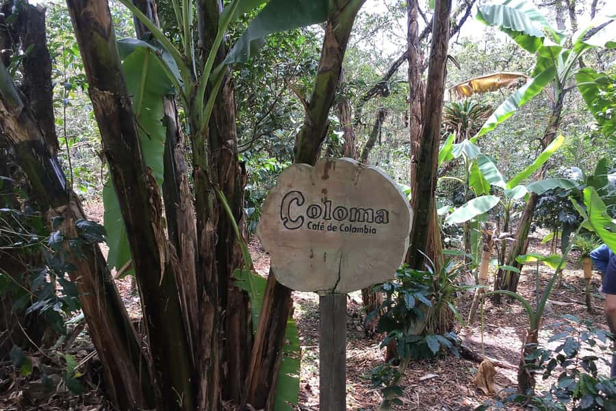 From Bogotá: Coffee Farm Experience Private Day Tour - Why Hacienda Coloma makes a good Bogotá day trip