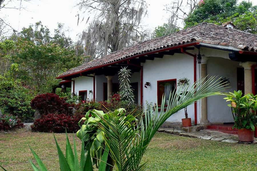 From Bogotá: Coffee Farm Experience Private Day Tour - Leaving Bogotá with a private group