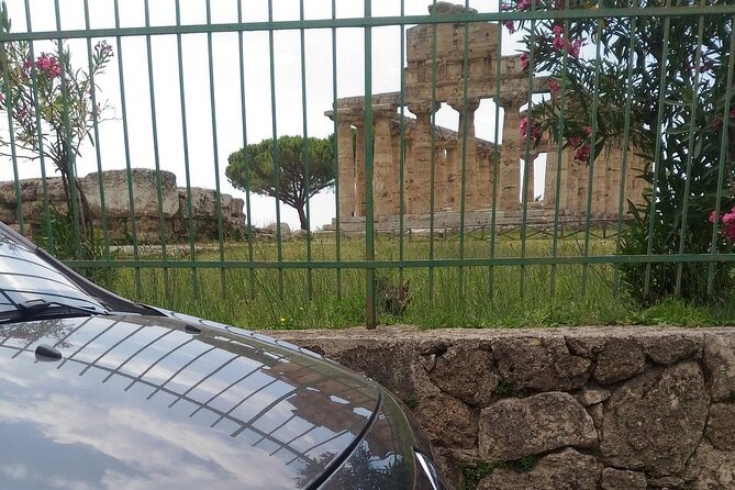 From Castellabate: Paestum Temples+Mozzarella Farm - Who will get the most from this outing