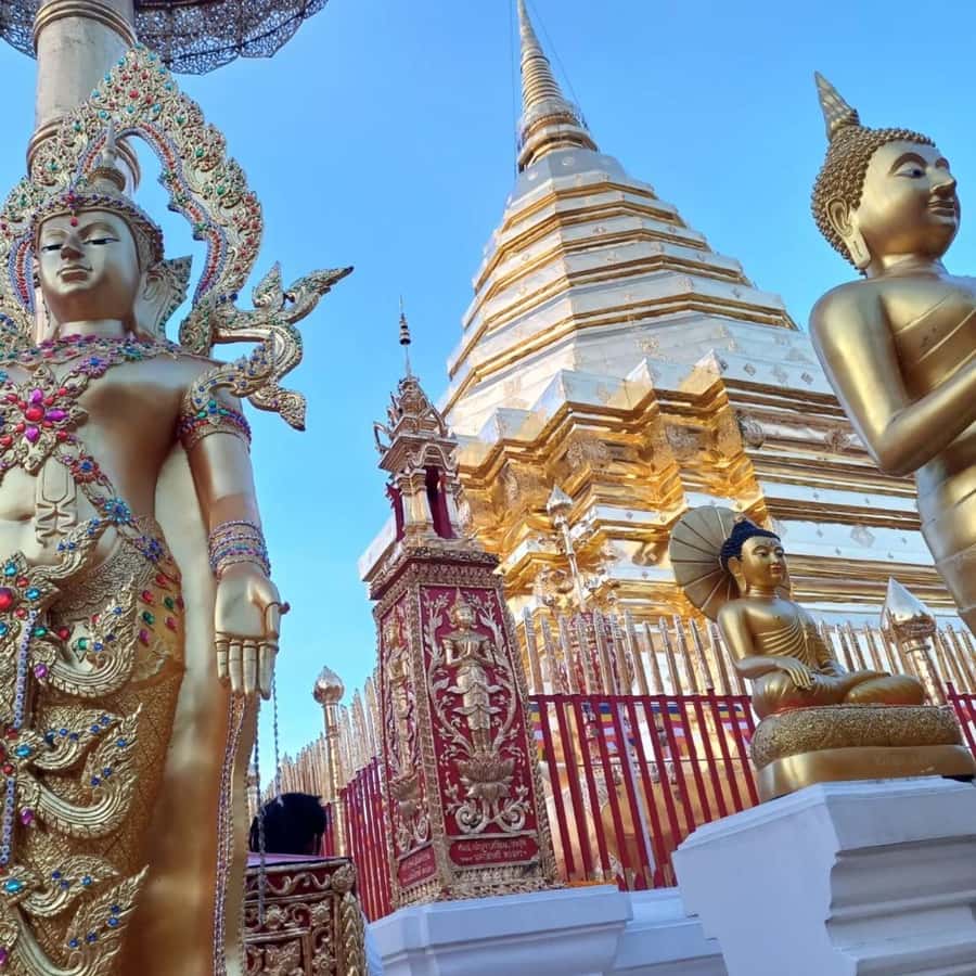 From Chiang Mai: Temples, Sticky Waterfall, and Orchid Farm - Who should book this Chiang Mai day trip?
