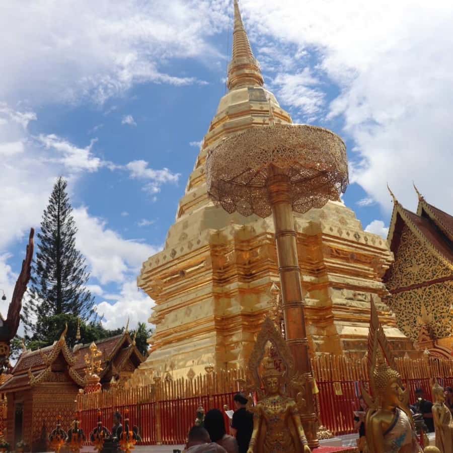 From Chiang Mai: Temples, Sticky Waterfall, and Orchid Farm - A full day beyond Chiang Mai’s city streets