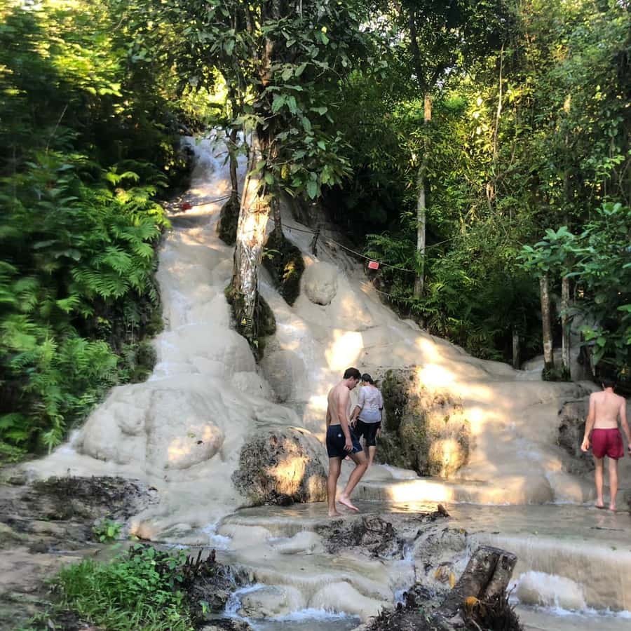 From Chiang Mai: Temples, Sticky Waterfall, and Orchid Farm - Doi Suthep and the Golden Pagoda