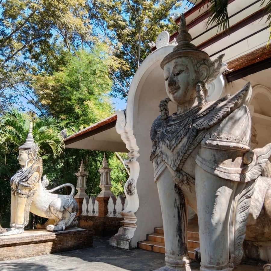 From Chiang Mai: Temples, Sticky Waterfall, and Orchid Farm - Lunch and the orchid and butterfly farm