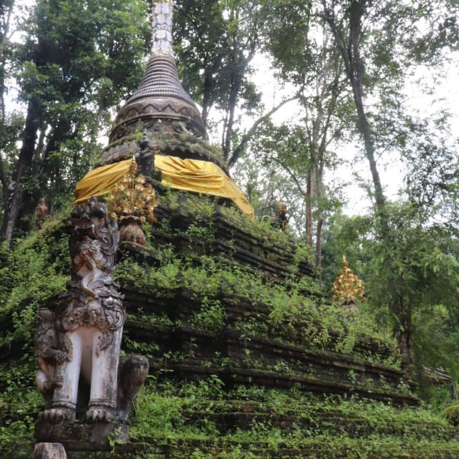 From Chiang Mai: Temples, Sticky Waterfall, and Orchid Farm - Guides, transport, and group size