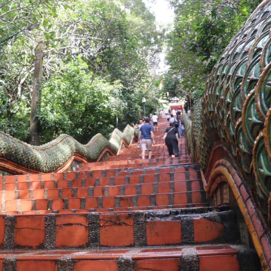 From Chiang Mai: Temples, Sticky Waterfall, and Orchid Farm - Is $80 a fair price?
