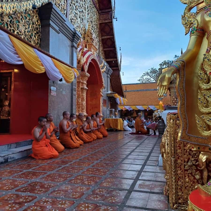From Chiang Mai: Temples, Sticky Waterfall, and Orchid Farm - What to bring and what to wear