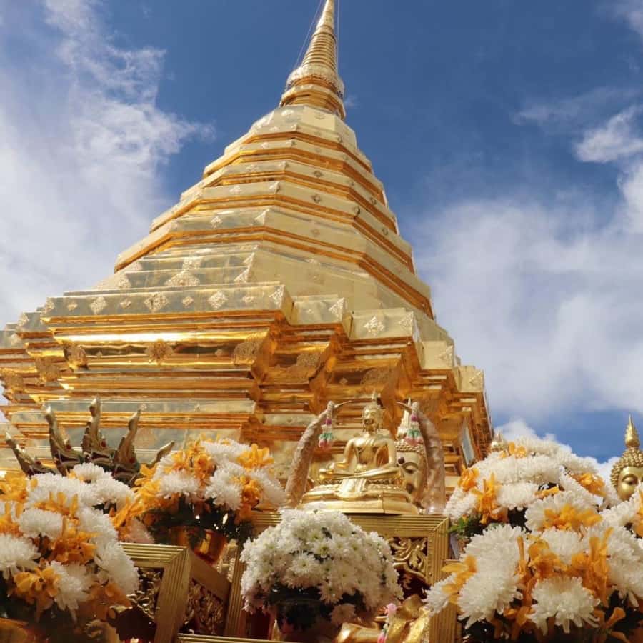 From Chiang Mai: Temples, Sticky Waterfall, and Orchid Farm - Wat Pha Lat, a forest temple with a calm mood