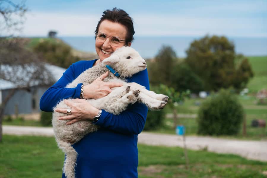 From Christchurch: Sheep Farm Experience with Lunch & Winery - The Christchurch pickup and ride north
