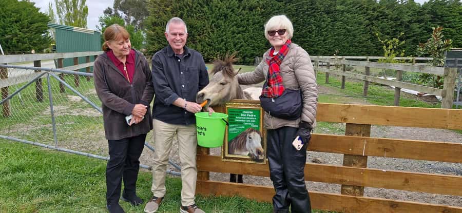 From Christchurch: Sheep Farm Experience with Lunch & Winery - Meeting James at the working sheep farm