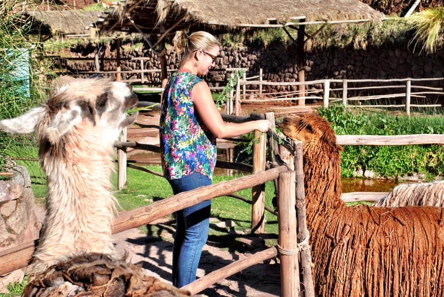 From Cusco: Private Pisac Ruins and Alpaca Farm Day Trip - Key points to know