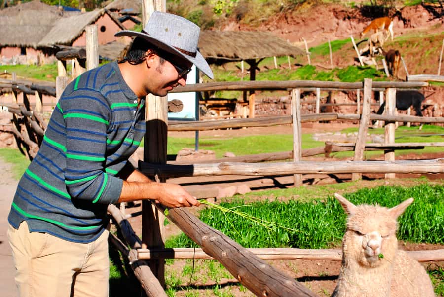 From Cusco: Private Pisac Ruins and Alpaca Farm Day Trip - The drive from Cusco to the Sacred Valley