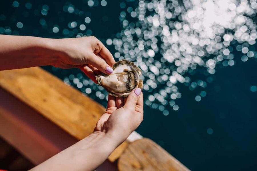 From Dubrovnik: Mali Ston Oysters Farm & Boat Experience - Key points at a glance
