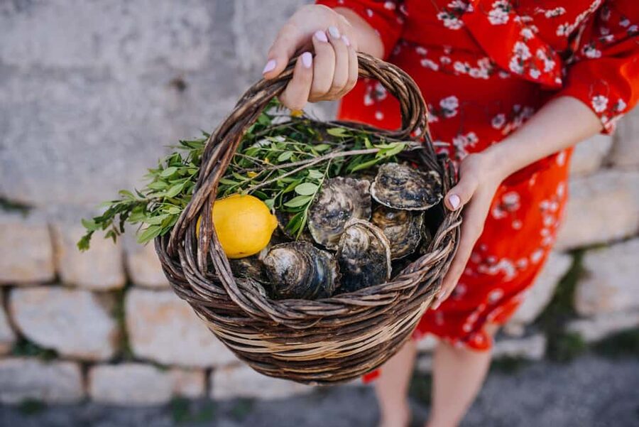 From Dubrovnik: Mali Ston Oysters Farm & Boat Experience - One hour to explore historic Ston