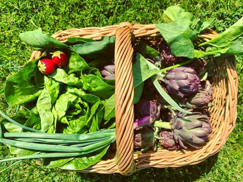 From Florence: Cooking Experience at hilltop farm in Tuscany - Cooking a Tuscan lunch in 45 minutes