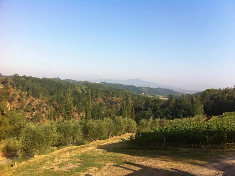 From Florence: Cooking Experience at hilltop farm in Tuscany - Why the long lunch is worth your time