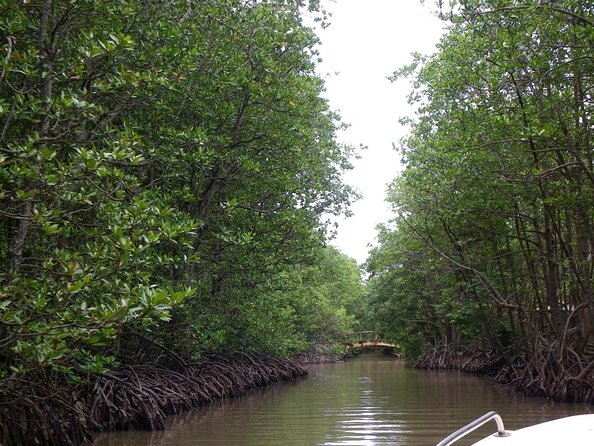 From Ho Chi Minh: Can Gio Trek – Monkey Island & Crocodile Farm - Leaving Ho Chi Minh City at 8 a.m.