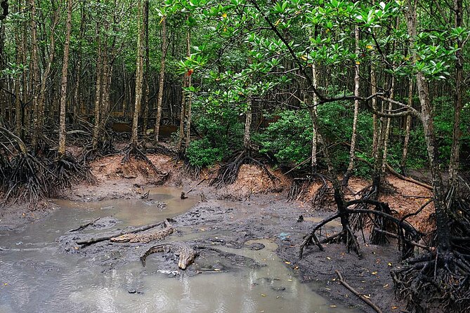 From Ho Chi Minh: Can Gio Trek – Monkey Island & Crocodile Farm - Seafood, local food, and the midday break