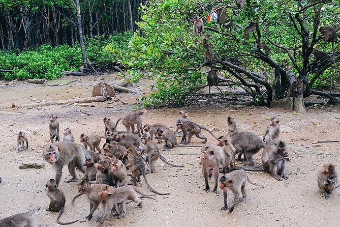From Ho Chi Minh: Can Gio Trek – Monkey Island & Crocodile Farm - Is the $28.50 price good value?