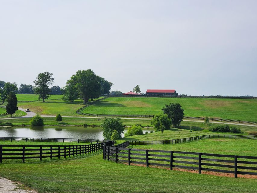From Lexington: Kentucky Horse Farms Tour - What the guide adds to the three-hour ride