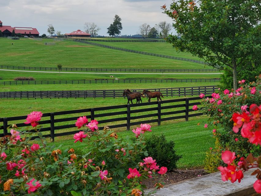 From Lexington: Kentucky Horse Farms Tour - Practical details that affect your decision