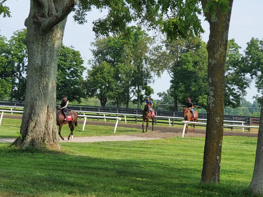From Lexington: Kentucky Horse Farms Tour - Three stops, with the schedule shaped by farm availability