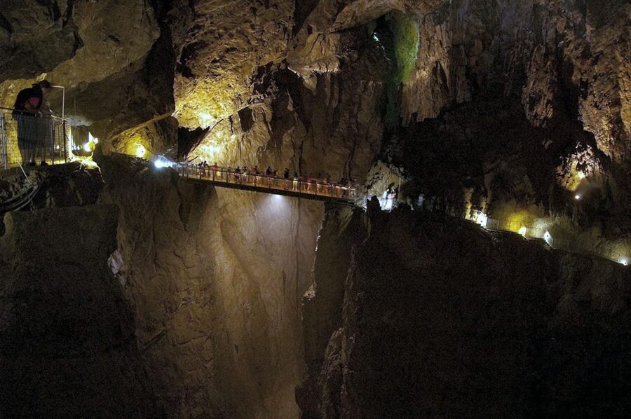 From Ljubljana: Lipica Stud Farm and Piran Full-Day Tour - Who will enjoy this day most
